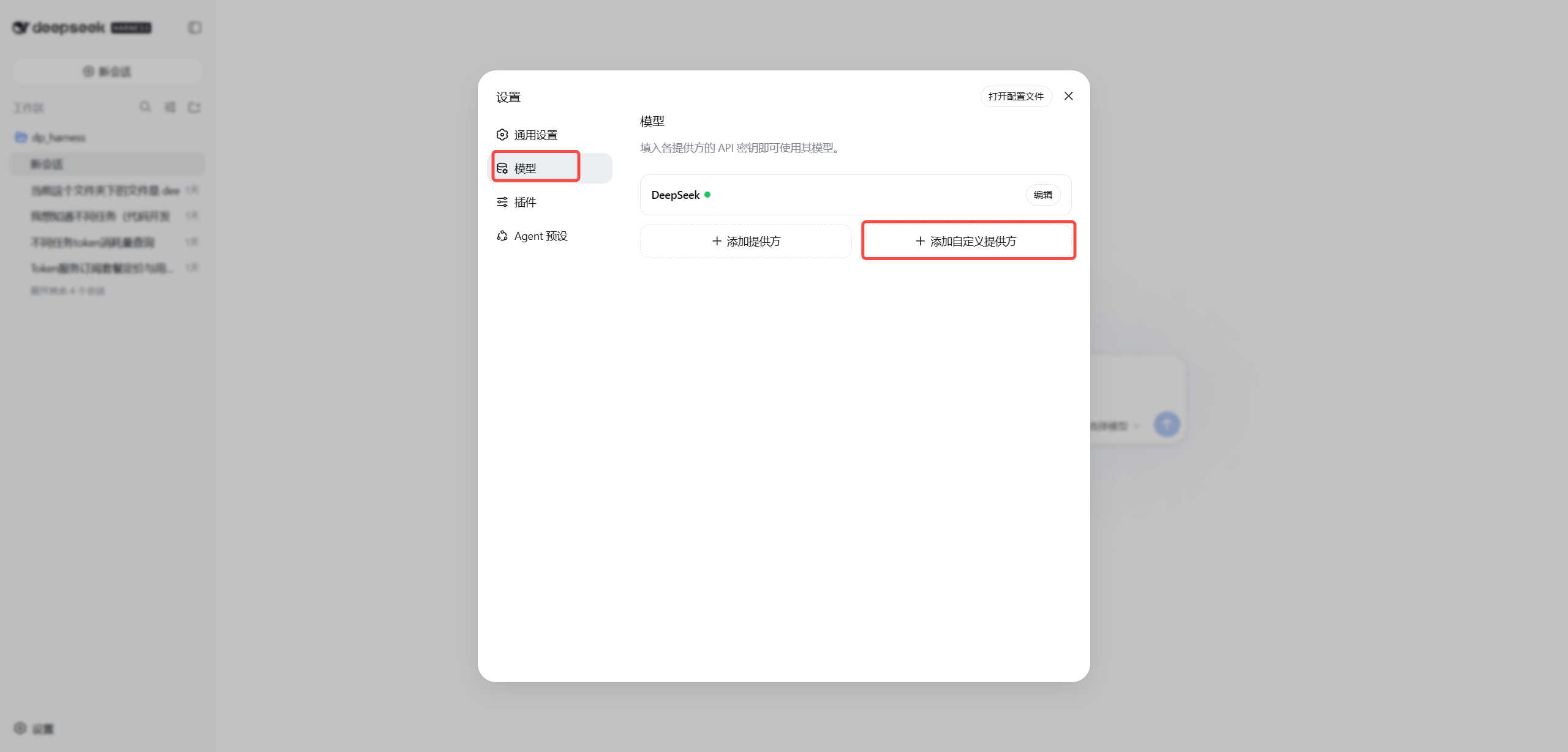 DeepSeek Harness 设置页面中的模型和添加自定义提供方入口